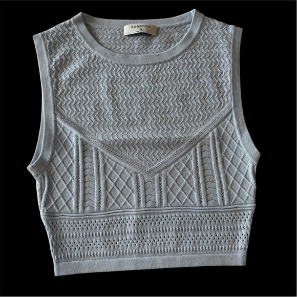 Aritzia Babaton Skirt & Top Set - Picture 7 of 12